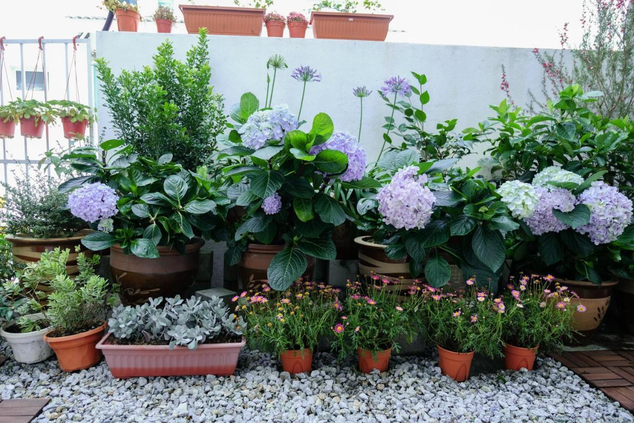 Comfy Sofy 21- Backyard Garden- Night Market Area Cameron Highlands Exterior photo